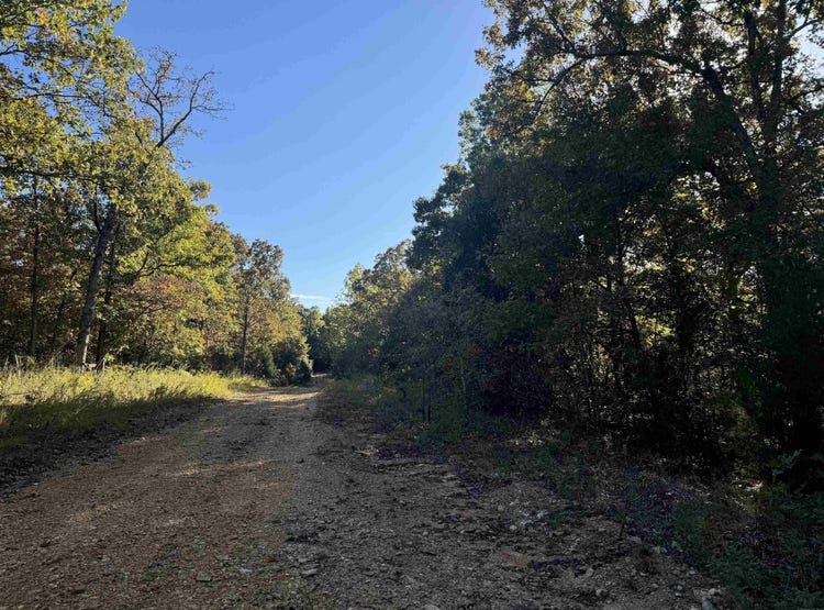 Lot 61 Red Fox Road, Hardy, AR 72542 Land for Sale