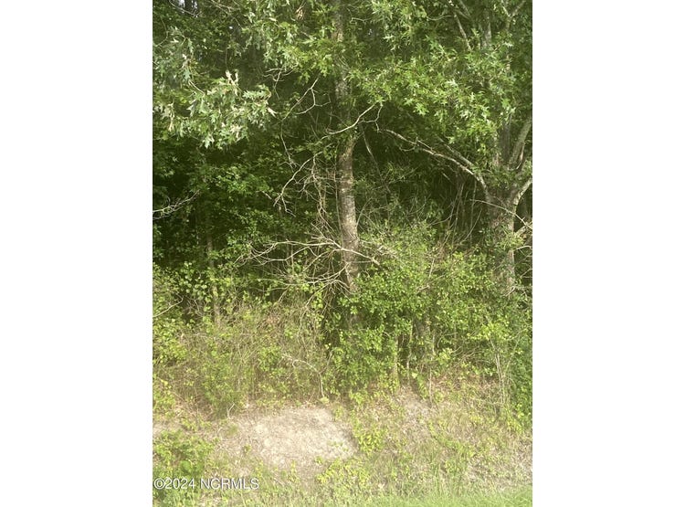 000 Chinquapin Road, Hertford, NC 27944 Land for Sale