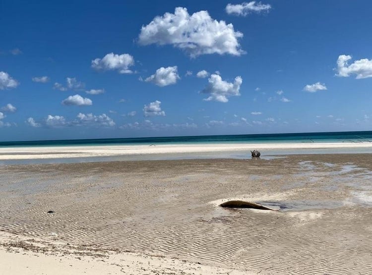 EAST END, GRAND BAHAMA, Other Grand Bahama/Freeport, Grand Bahama