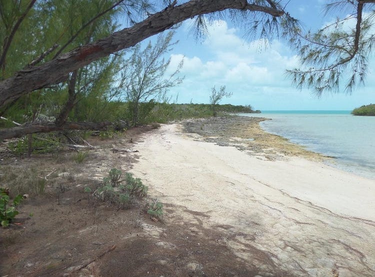 5 Acres of land located in Bunches, Long Island, Bahamas, Long Island