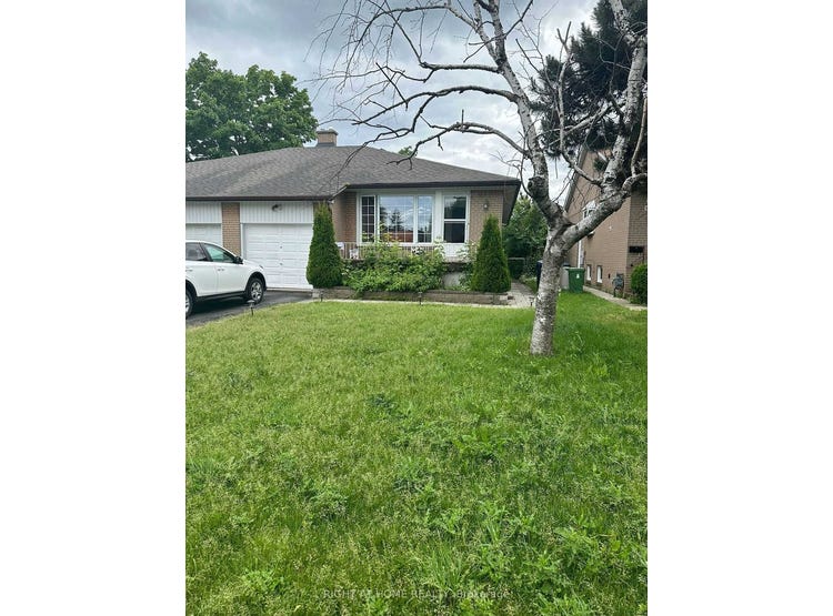 Lower 57 Combermere Dr, Toronto, Ontario House for Rent