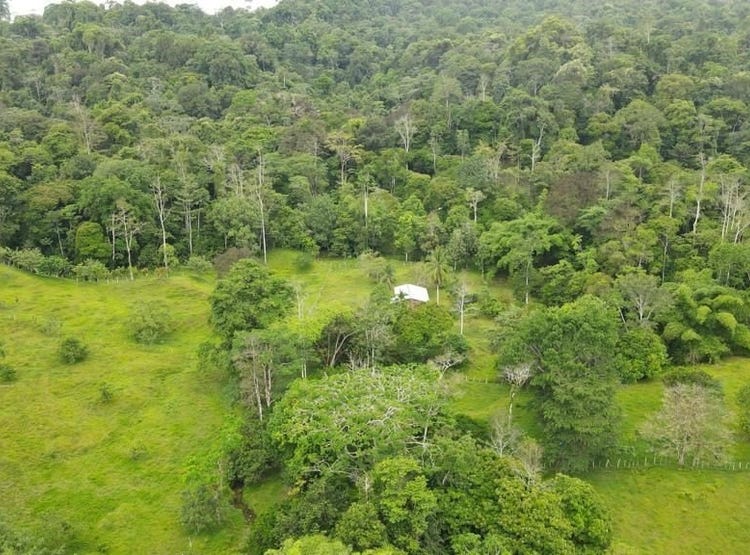 Limón, Limon, Address available on request Land for Sale