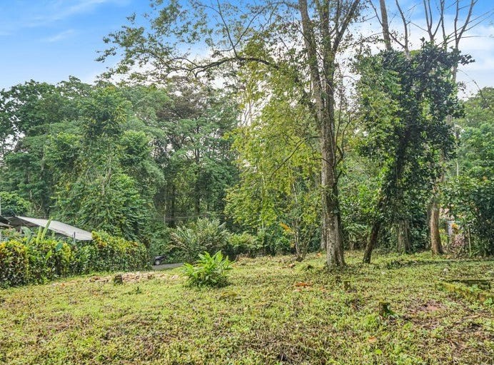 Land for sale in Cocles 1250 m2 lot on Ole Caribe Rd in Cocles. Only