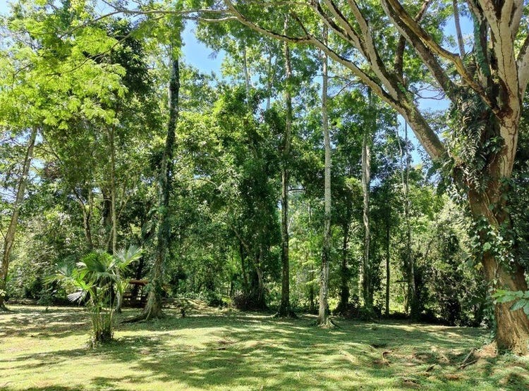 Secret Garden, Cahuita to Cahuita’s Secret Garden, Cahuita