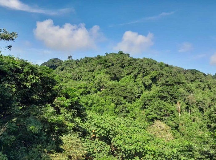 Perfect Farm For Living Green In Coastal Forest Near Canoa, Ecuador