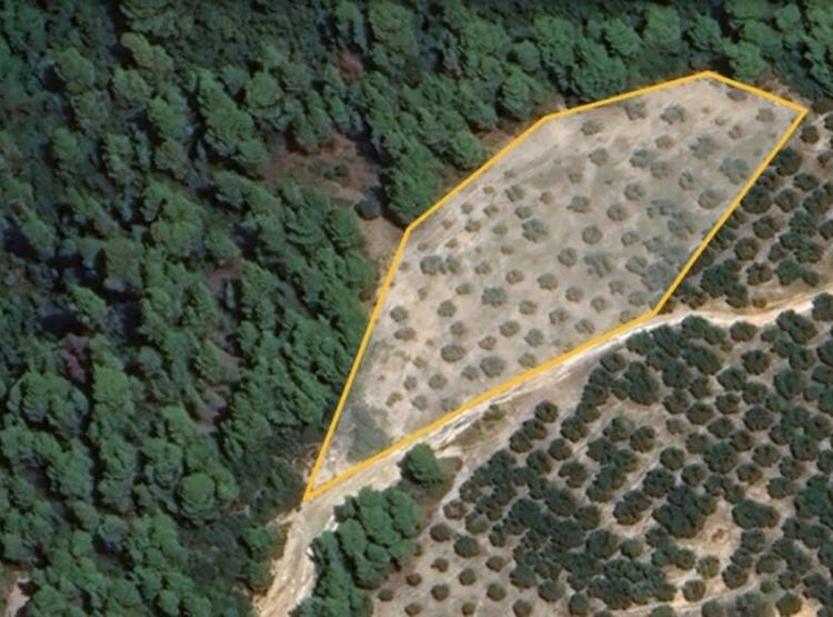 Nikiti, Central Macedonia, Address available on request House for Sale