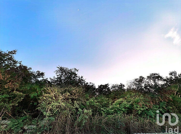 39, 86, Yucatán, Yucatan Land for Sale