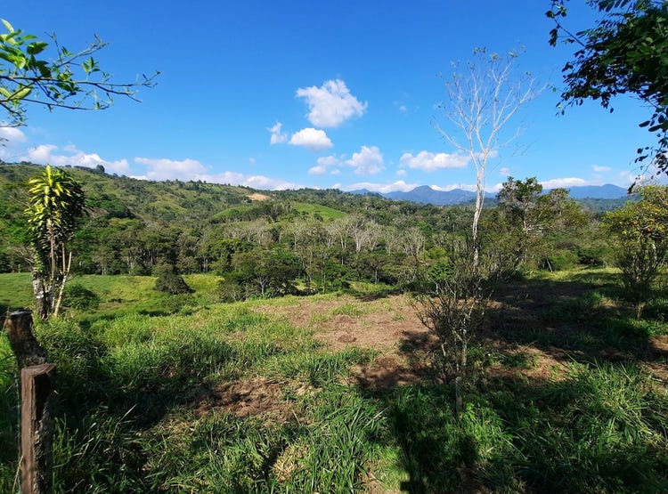 Renacimiento Monte Lirio, Chiriqui, La ubicación puede ser