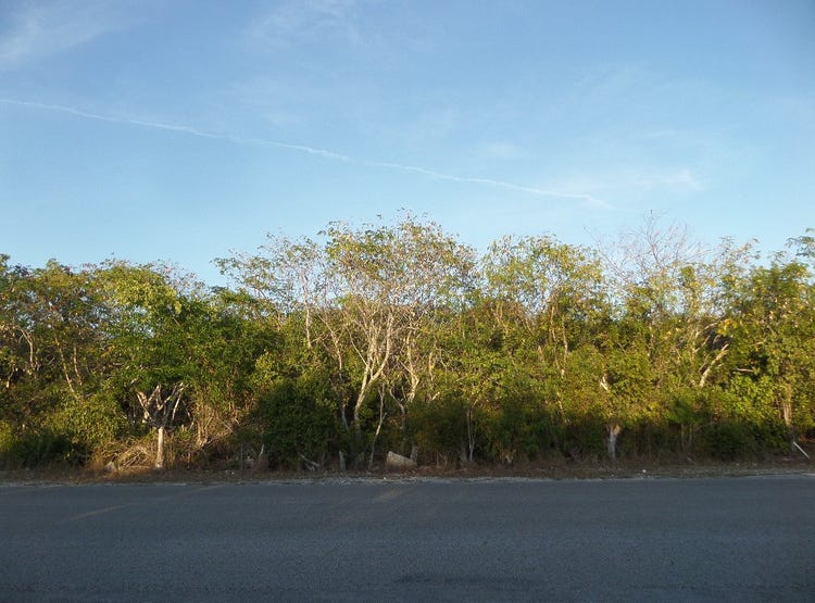 Unnamed Road, Long Island, Long Island Land/Development for Sale