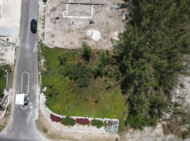 Cove Boulevard, Nassau / New Providence, New Providence Land