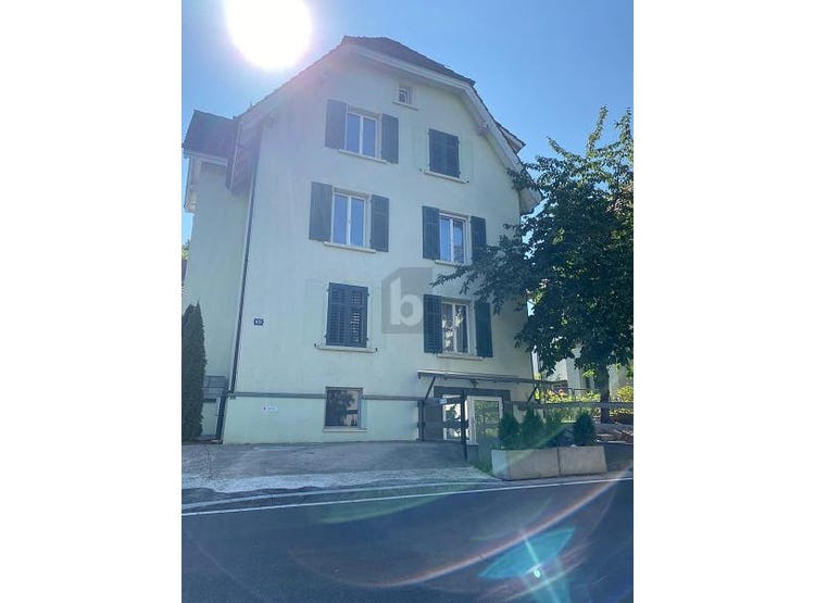 Zürich, Zurich 8052 Apartment for Rent