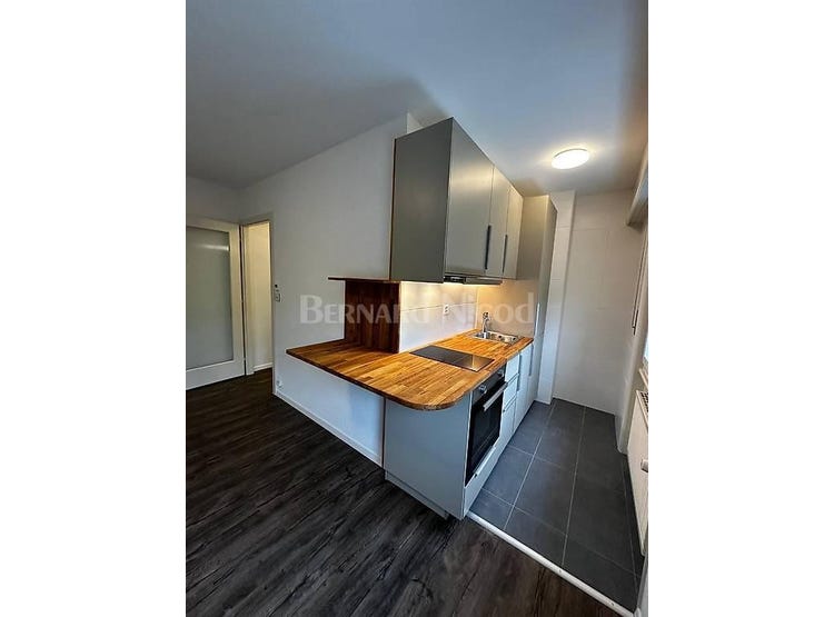 EdenRoc 11, Savigny, Vaud 1073 Apartment for Rent