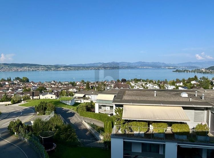 Richterswil, Zurich 8805 Apartment for Rent