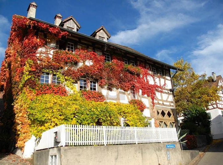 Uhwiesen, Zurich 8248 House for Sale