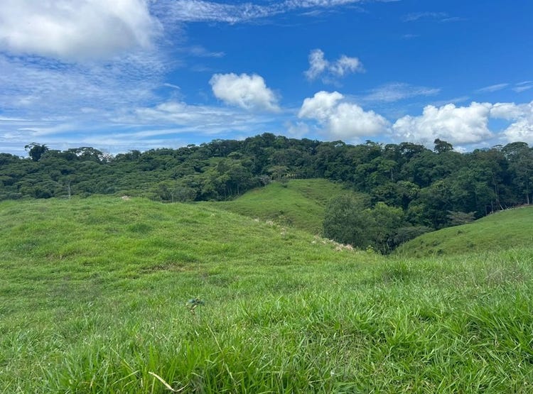 47 ACRES â€“ Beautiful Mountain View Farm With Many Water Sources and