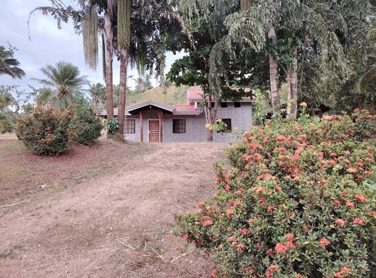 Charming Costa Rican-Style Home Near Samara Beach: Rustic Charm Meets ...