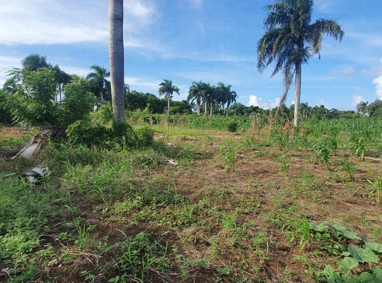 Macao, Punta Cana, La Altagracia Province 23000 Land/Development for
