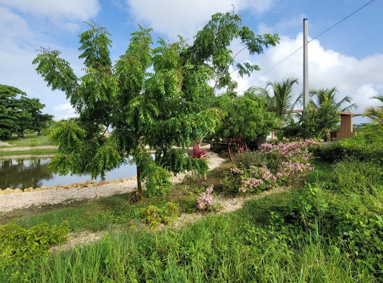 Macao, Punta Cana, La Altagracia Province 23000 Land/Development for