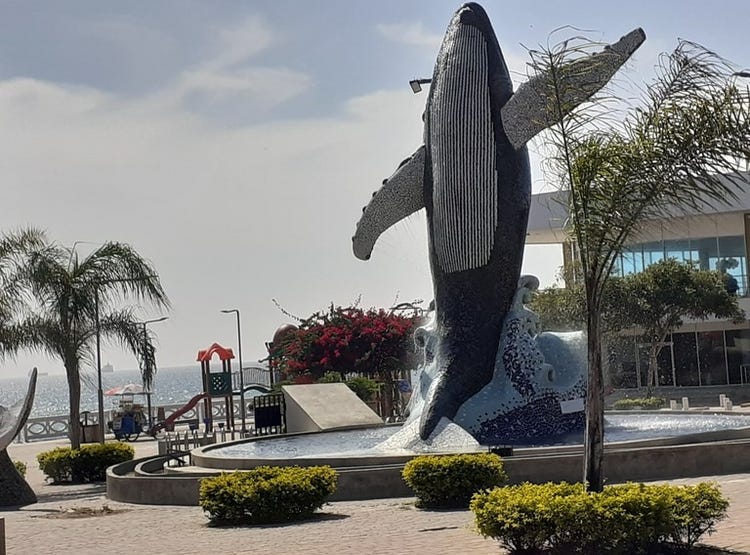 Ballenita Brisas Del Valle Opportunity Available in a Growing Area