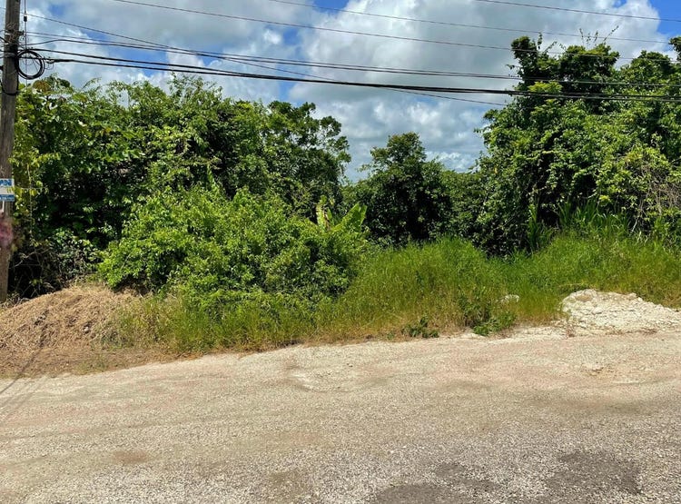 BATTERSEA AVE, INGLESIDE, 2060, Manchester Parish Land for Sale