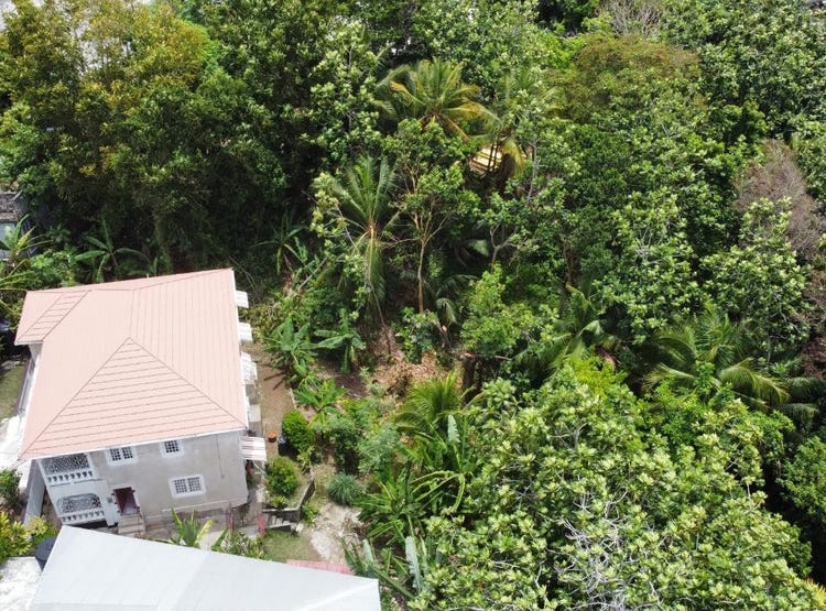 NORWICH, PORTLAND, Port Antonio, Portland Parish House for Sale
