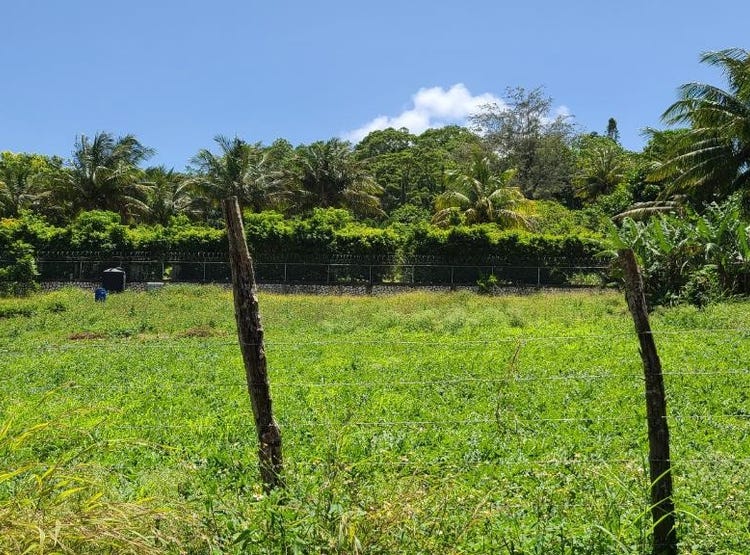 WOODLAWN, Mandeville, Manchester Parish Land for Sale