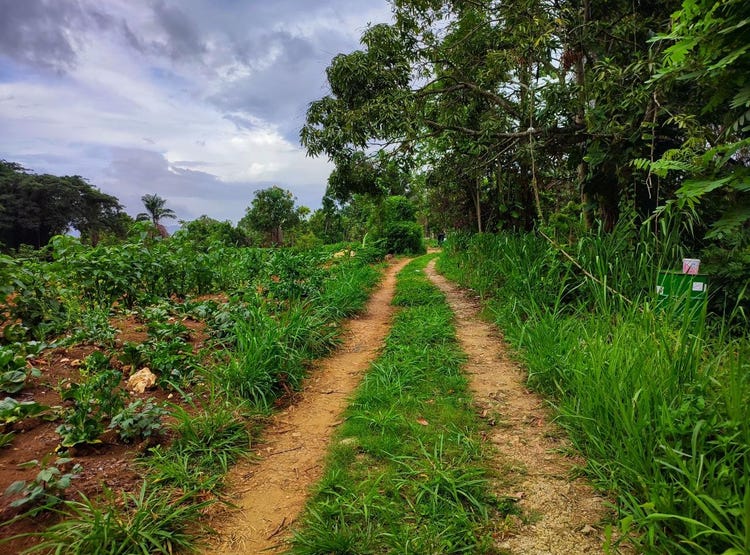 108 CHARLTON DRIVE, EWARTON, Ewarton, Saint Catherine Parish Land for