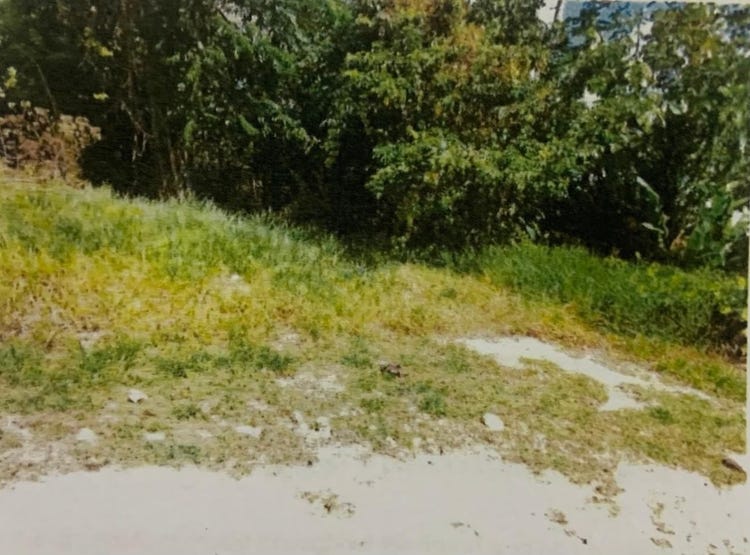 GROVE PLACE, Williamsfield, Manchester Parish Land for Sale