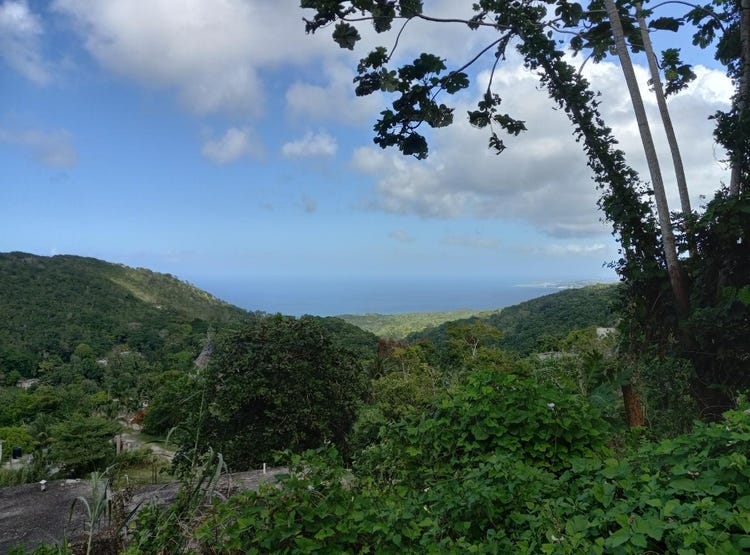 BAMBOO, HANOVER., Hopewell, Hanover Parish Land for Sale