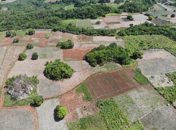 ROWES CORNER , MANCHESTER, Rowes Corner, Manchester Parish Land for