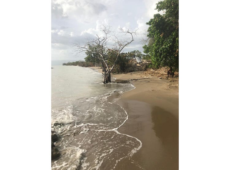 PAROTTEE, Black River, St. Elizabeth Parish Land for Sale