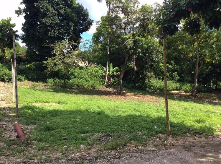 BOWERSWOOD ST. CATHERINE, Bog Walk, Saint Catherine Parish Land for Sale