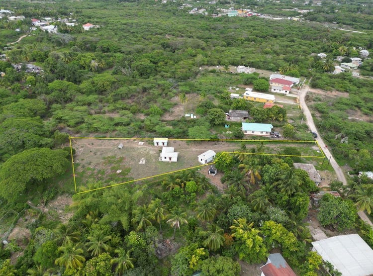 HAYES, Hayes, Clarendon Land for Sale