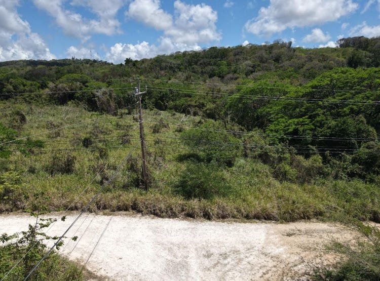 SILVER SANDS, CALYPSO CLO, Duncans, Trelawny Parish Land for Sale