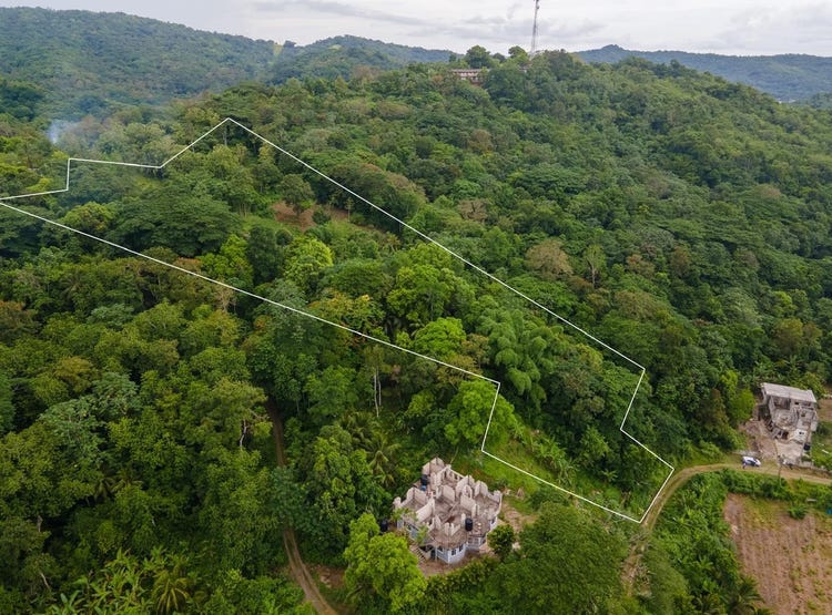 Enfield FORT STEWART, ST. MARY, Enfield, St. Mary Parish Land for Sale