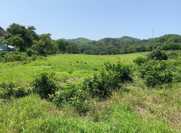 DUANVALE, TRELAWNY, Duanvale, Trelawny Parish Land for Sale