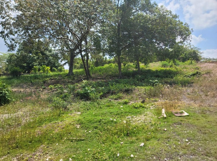 FERRIS, WESTMORLAND, 1279, Westmoreland Parish Land for Sale