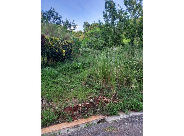 82 CEDAR VALLEY, Belvedere, St. Andrew Parish Land for Sale