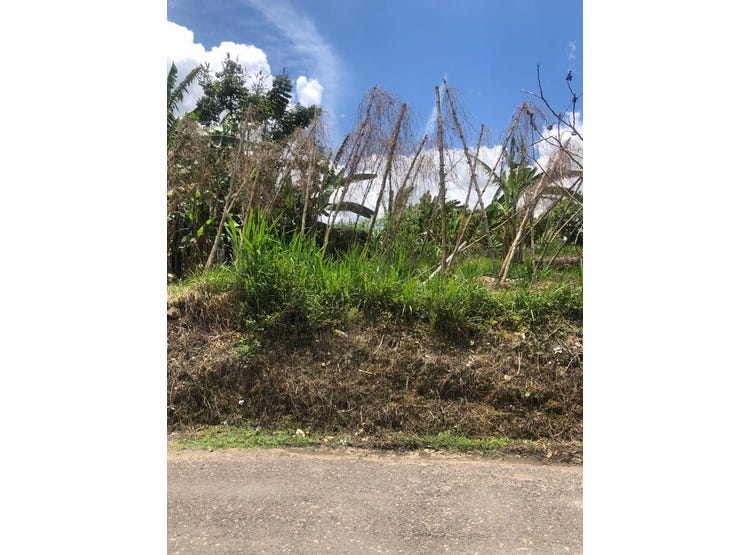 CLARENDON, Spaldings, Clarendon Land for Sale