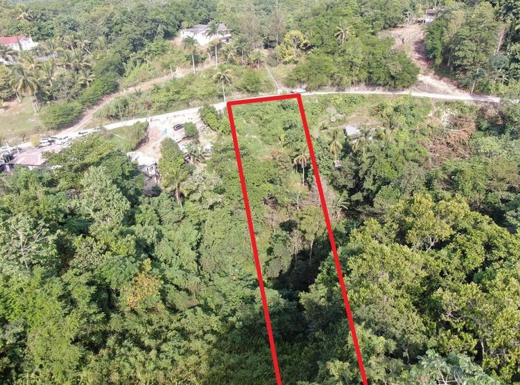 MOUNT CAREY, 320, St. James Parish Land for Sale
