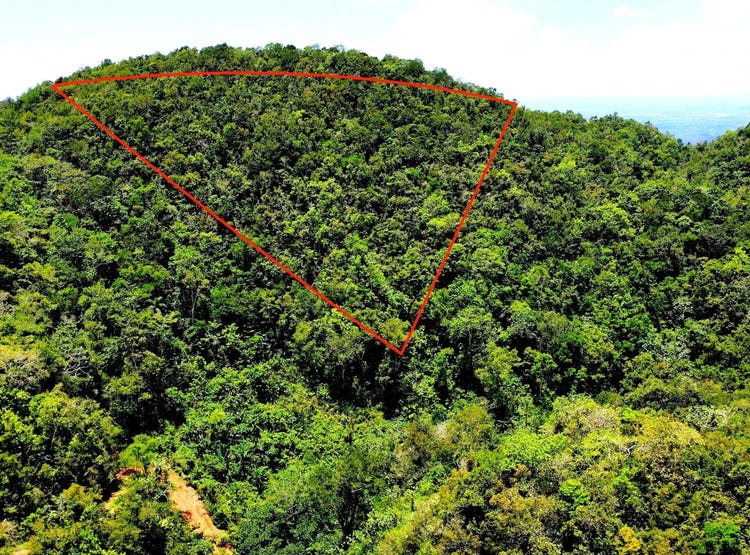 ROCK HALL, Rock Hall, St. Andrew Parish Land for Sale