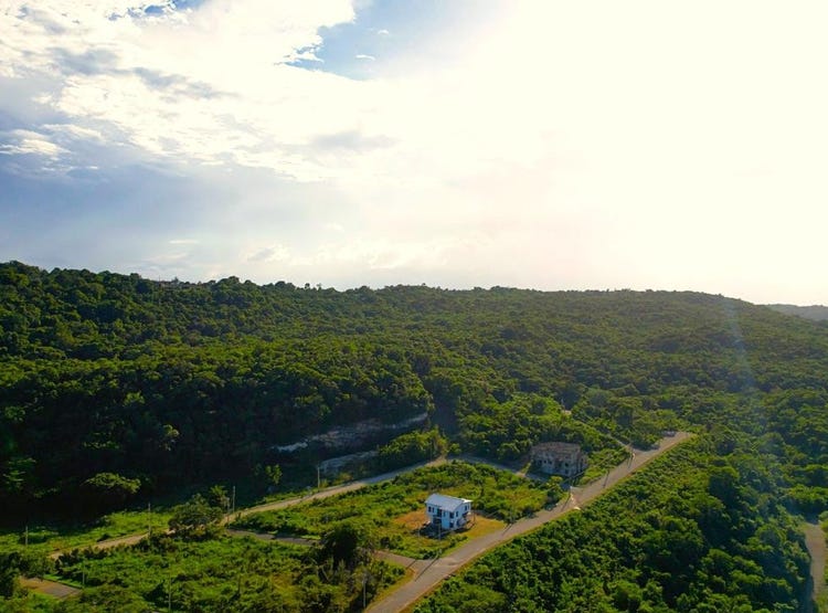 TAMARIND RIDGE, Duncans, Trelawny Parish Land for Sale