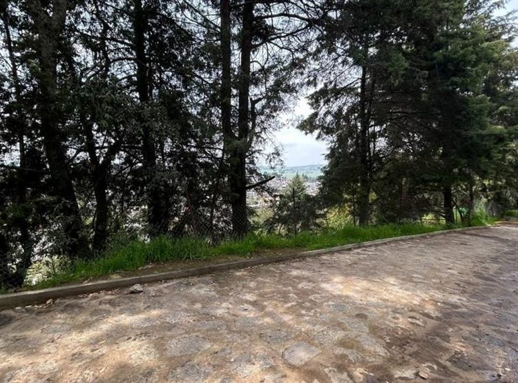 Campeche s/n, Tepetlixpa, Tepetlixpa, México, Mexico City 56880 Land