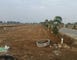 Kankipadu, Krishna, Andhra Pradesh