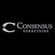 Consensus Nekretnine