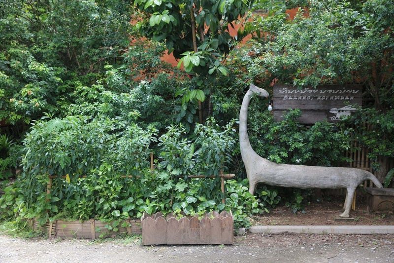 /international/th/349-rat-uthit-road-wat-ket-chiang-mai-50000-thailand-chiang-mai-chiang-mai-340105128978/