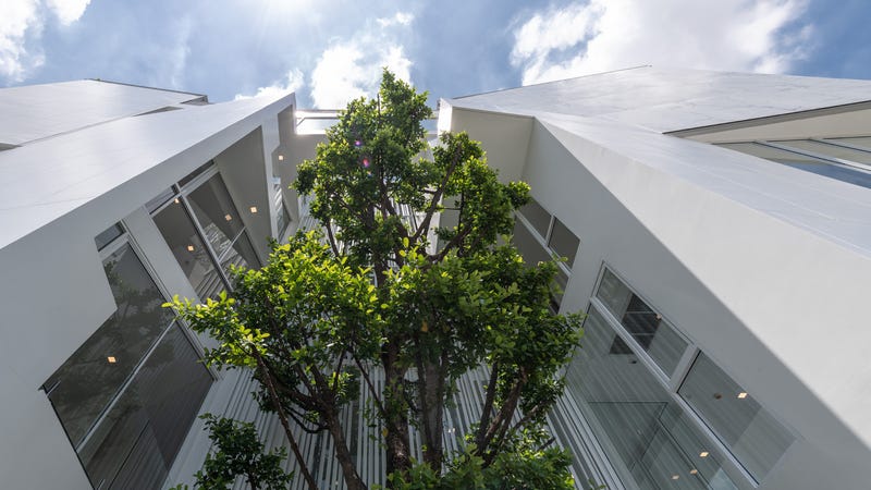 /international/th/flying-cat-co-ltd-29-soi-lat-phrao-88-phlapphla-wang-thonglang-bangkok-10310-tha-phlapphla-bangkok-340106168058/