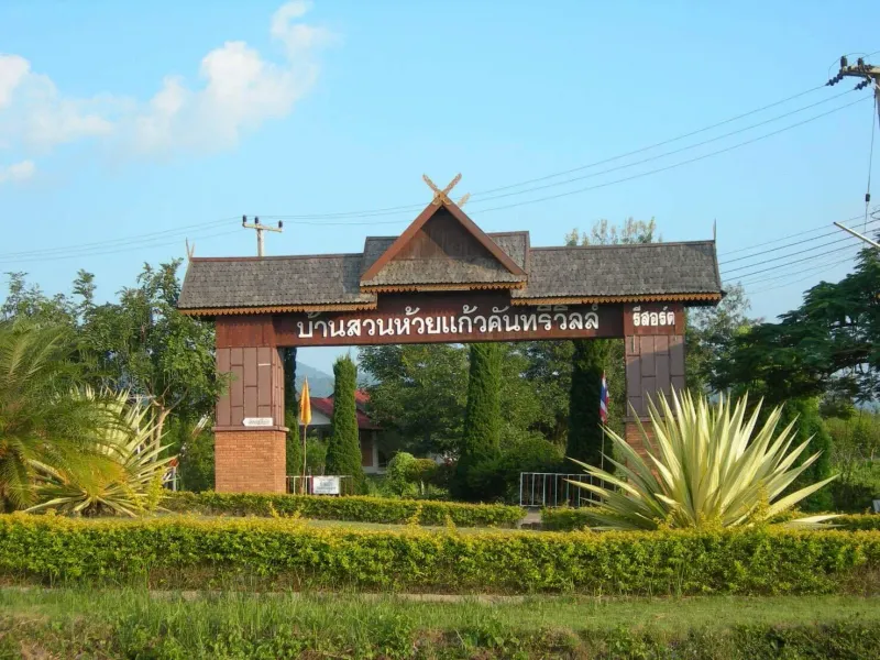 /international/th/mmm-farm-muthi-7-huai-kaeo-mae-on-chiang-mai-50130-thailand-mae-on-chiang-mai-340105124939/