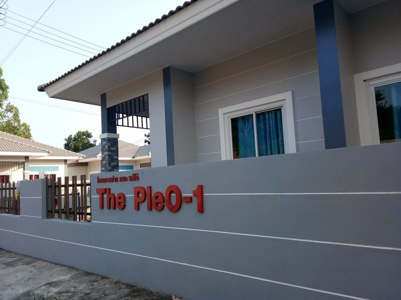 /international/th/the-pleo-sri-mahosot-khok-pip-si-mahosot-prachin-buri-25190-thailand-si-mahosot-prachin-buri-340105129135/