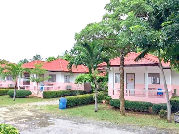 /international/th/murphys-guesthouse-sam-roi-yot-prachuap-khiri-khan-77120-thailand-sam-roi-yot-prachuap-khiri-khan-340105160423/